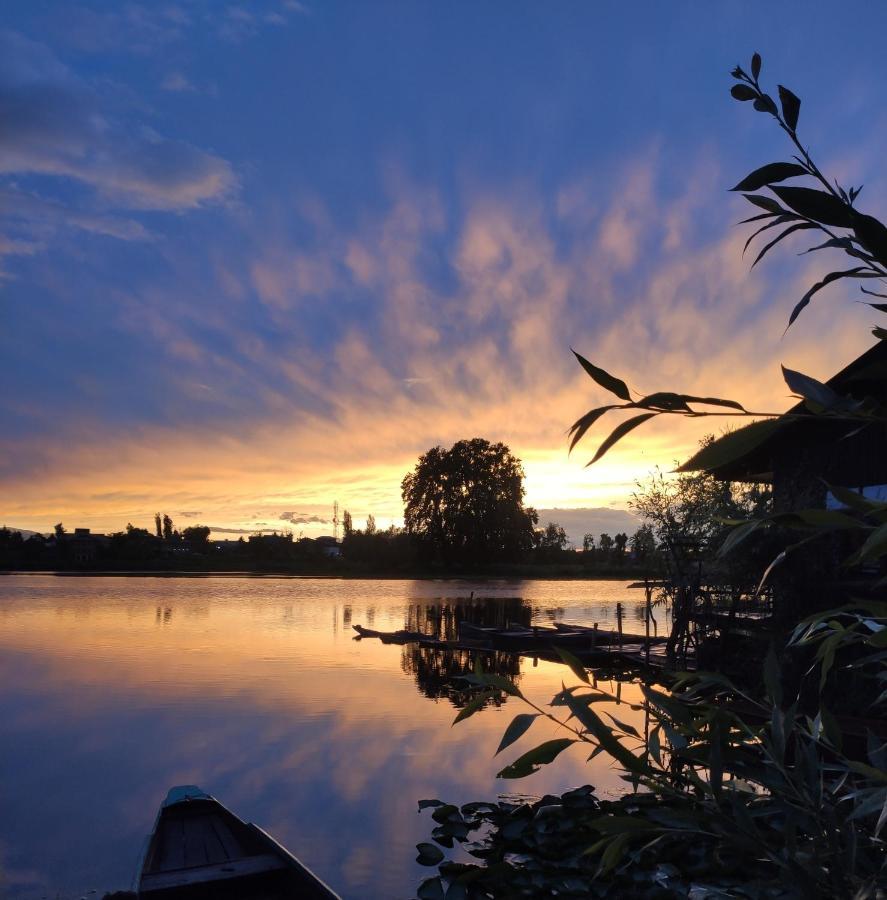 Lakeside Homestay Srinagar Dış mekan fotoğraf